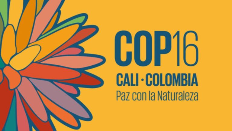 COP16: Nuestra participación en la Cumbre