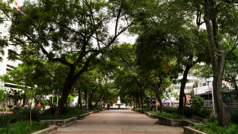Lanzamiento de la 2° Cohorte de la Diplomatura en Gestión de Bosques Urbanos